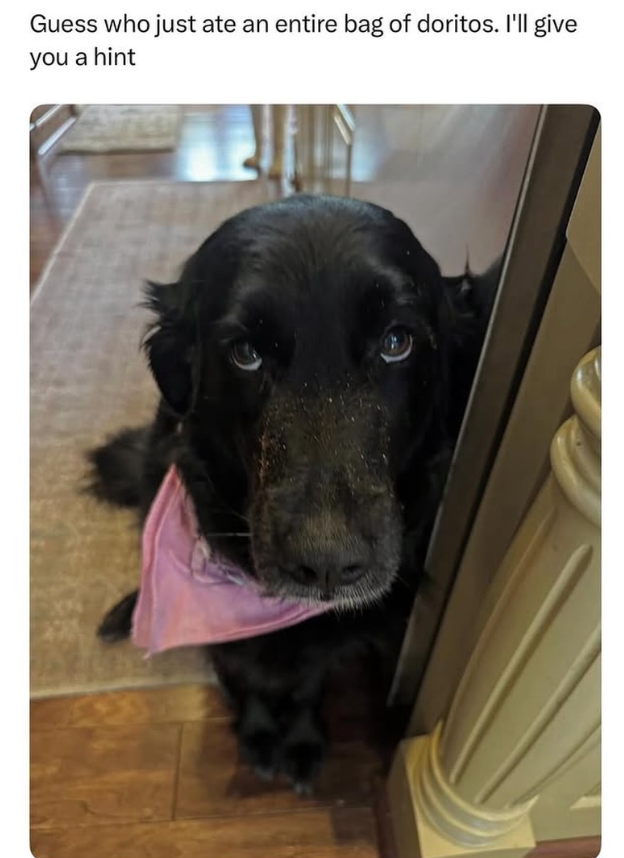 Guess who just ate an entire bag of doritos. I'll give you a hint