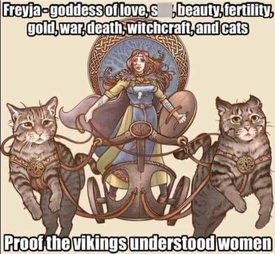Freyja-goddess of love,s,beauty,fertility, gold,war,death witchcraft, and cats Proof the vikings understood women
