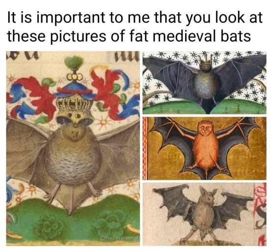 It is important to me that you look at these pictures of fat medieval bats @medievalistmat