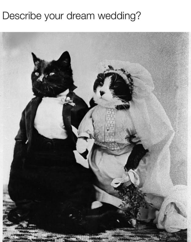 Describe your dream wedding? ・・・