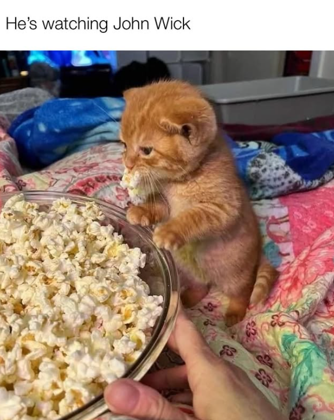 He's watching John Wick