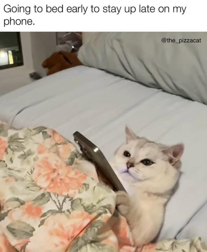 Going to bed early to stay up late on my phone. @the_pizzacat
