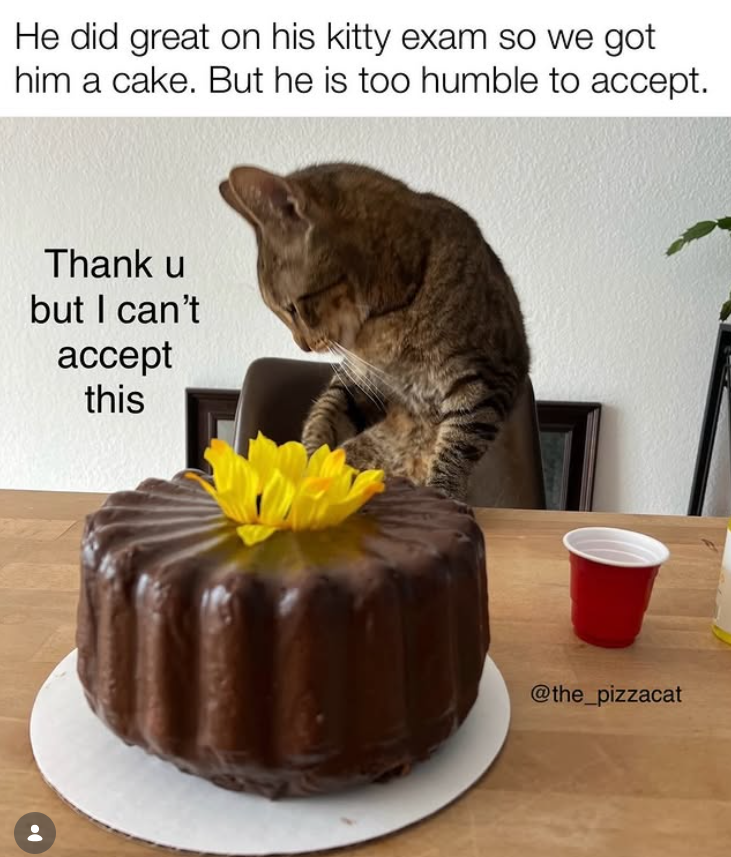 He did great on his kitty exam so we got him a cake. But he is too humble to accept. Thank u but I can't accept this @the_pizzacat