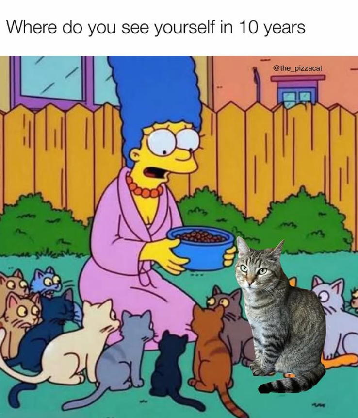 Where do you see yourself in 10 years 34 @the_pizzacat
