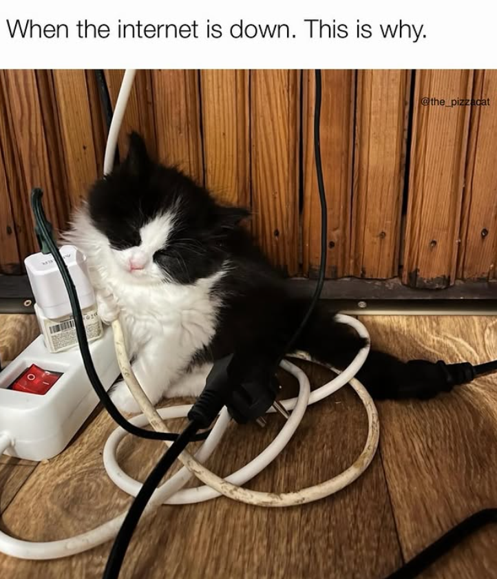 When the internet is down. This is why. @the_pizzacat