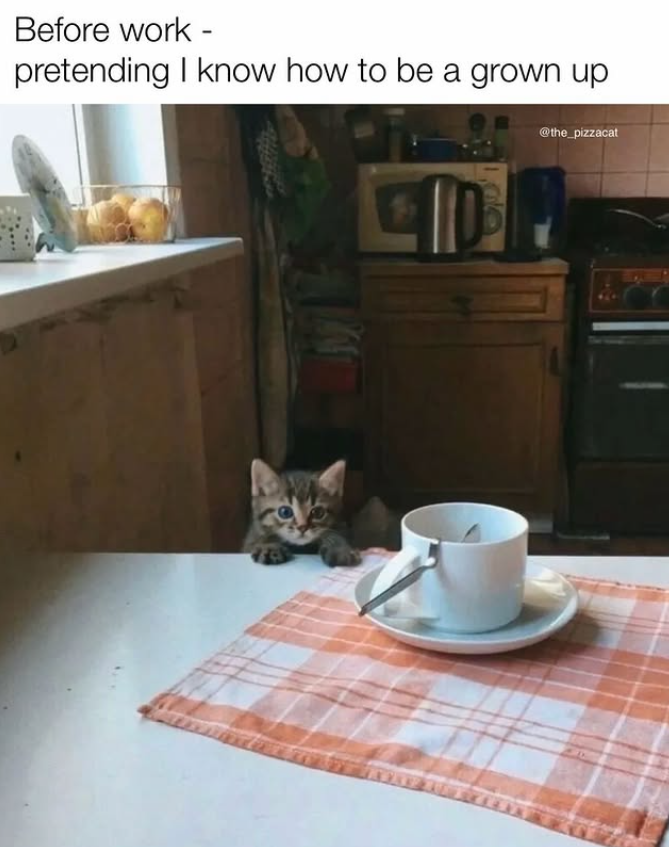 Before work - pretending I know how to be a grown up @the_pizzacat