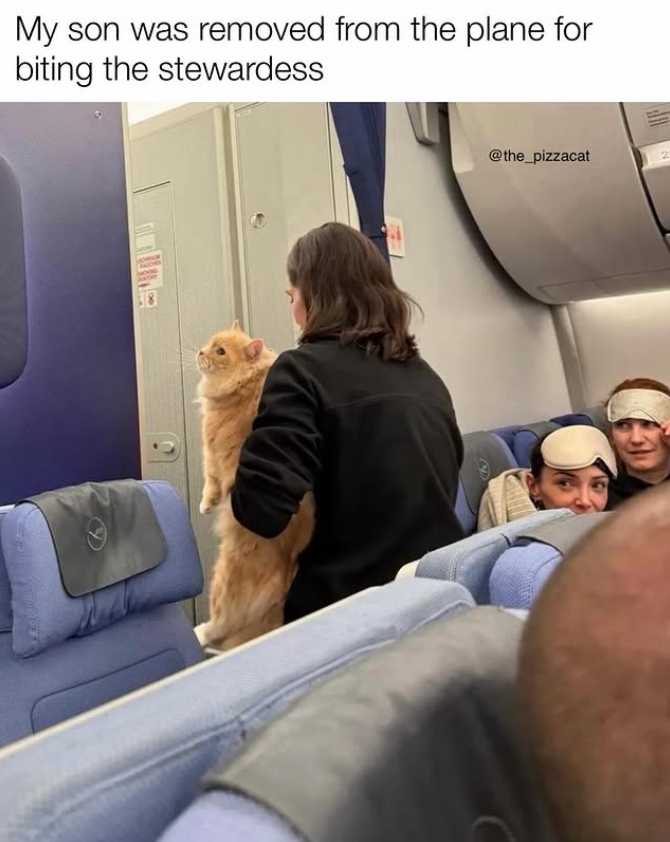 My son was removed from the plane for biting the stewardess E @the_pizzacat
