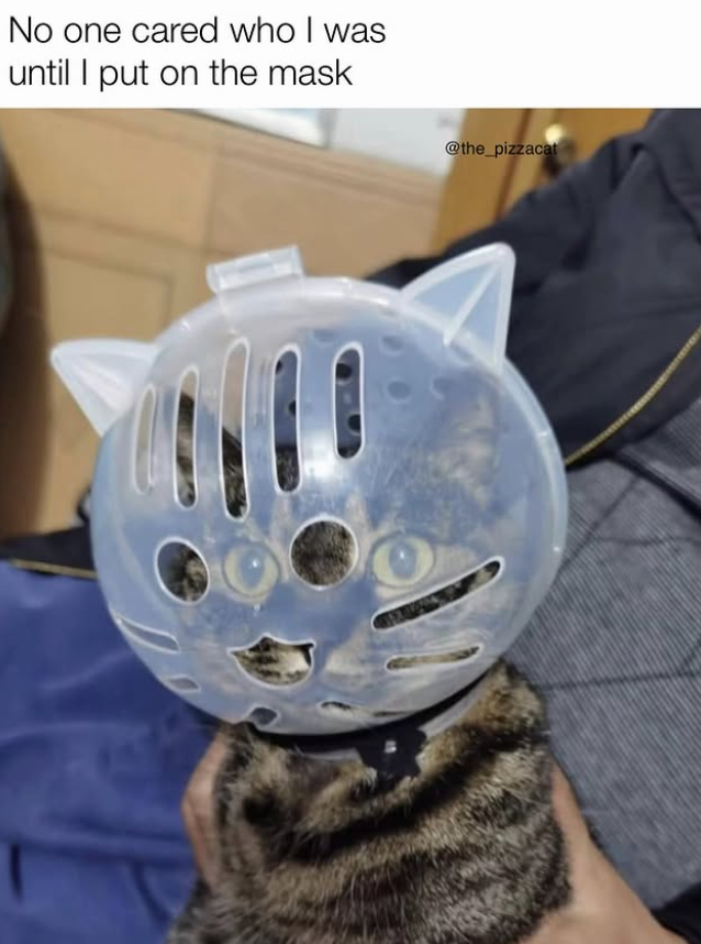 No one cared who I was until I put on the mask @the_pizzacat