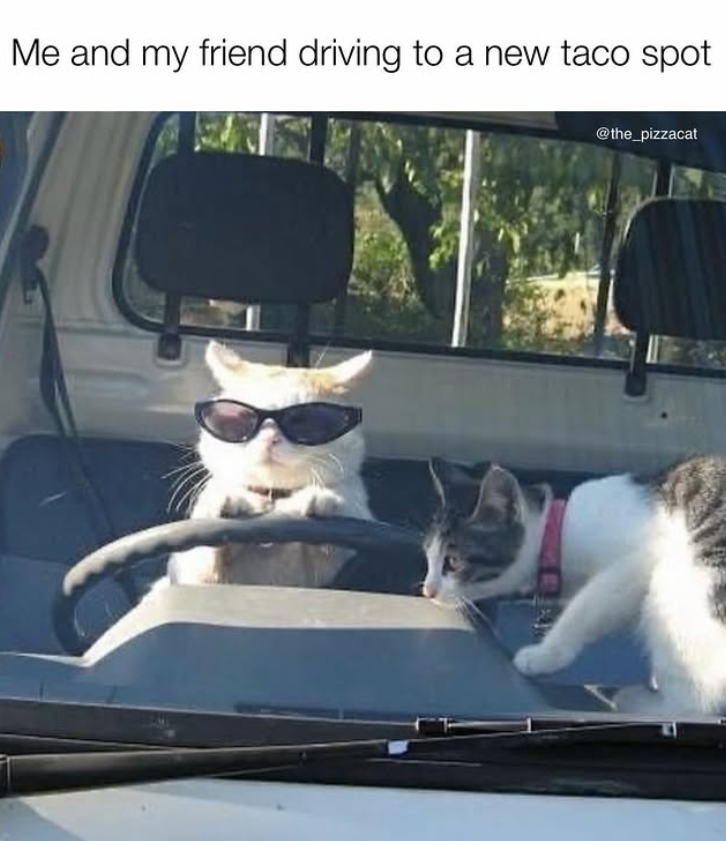 Me and my friend driving to a new taco spot @the_pizzacat