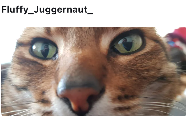 Fluffy_Juggernaut_