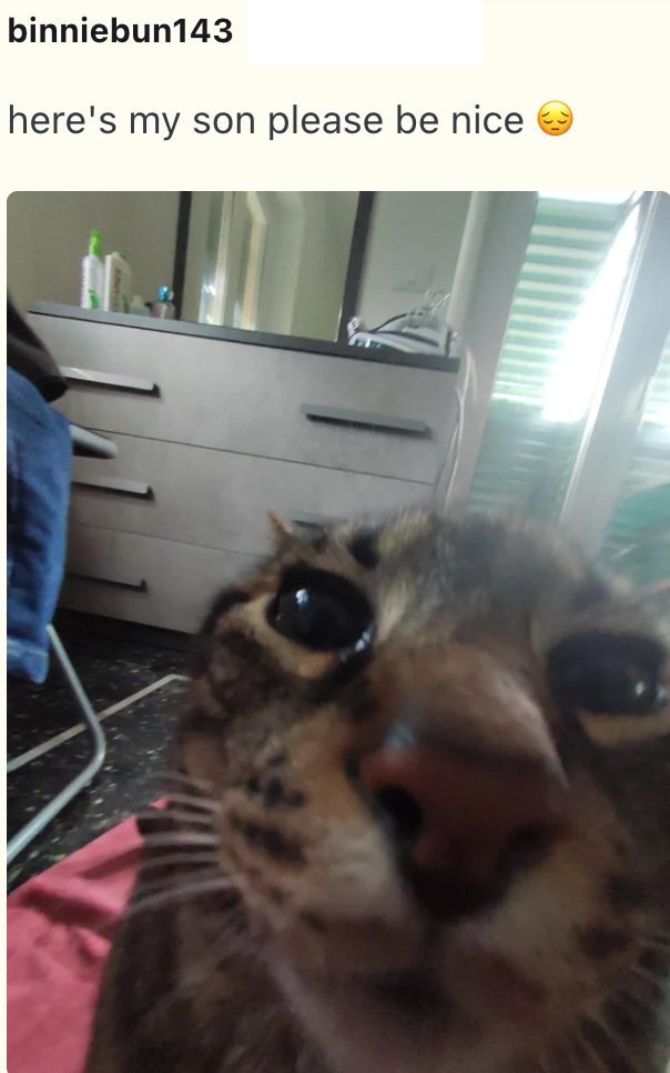 binniebun143 here's my son please be nice