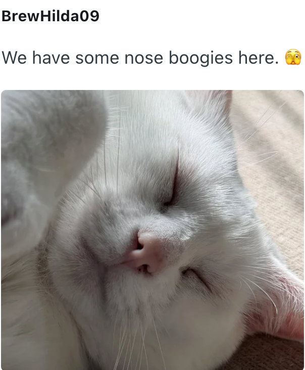 BrewHilda09 We have some nose boogies here.