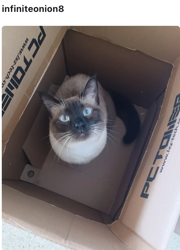 infiniteonion8 PCTOME www.lxz-tech.co www.lxz-tech.c