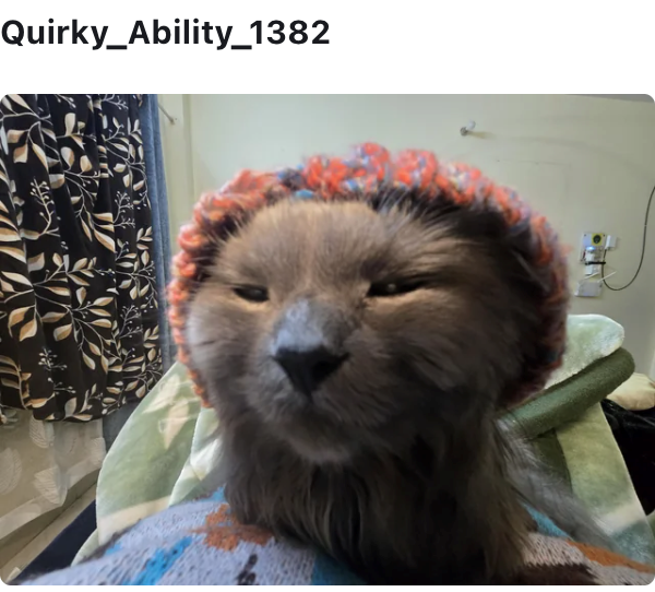 Quirky_Ability_1382