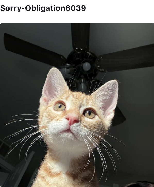 Sorry-Obligation6039