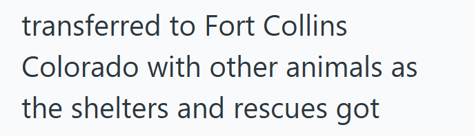 transferred to Fort Collins Colorado with other animals as the shelters and rescues got