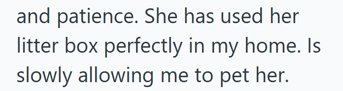 and patience. She has used her litter box perfectly in my home. Is slowly allowing me to pet her.