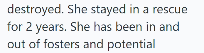 destroyed. She stayed in a rescue for 2 years. She has been in and out of fosters and potential