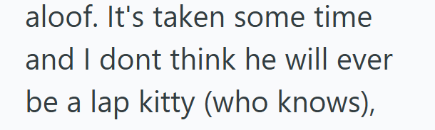 aloof. It's taken some time and I dont think he will ever be a lap kitty (who knows),