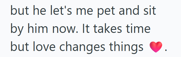 but he let's me pet and sit by him now. It takes time but love changes things