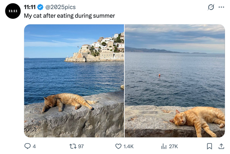 11:11 11:11 @2025pics My cat after eating during summer 4 17 97 3. 1.4K lil 27K ...