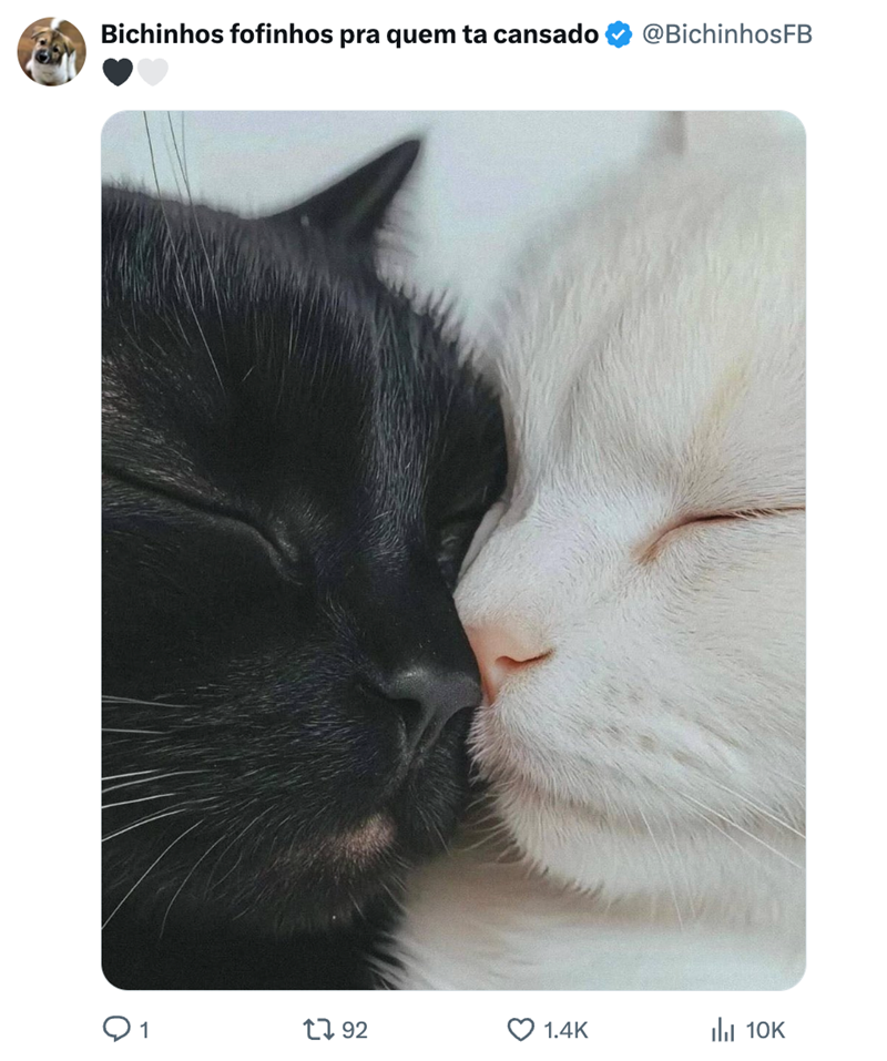 Bichinhos fofinhos pra quem ta cansado @BichinhosFB 1 1792 1.4K IlII 10K