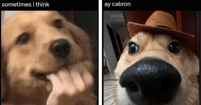 sometimes i think ay cabron