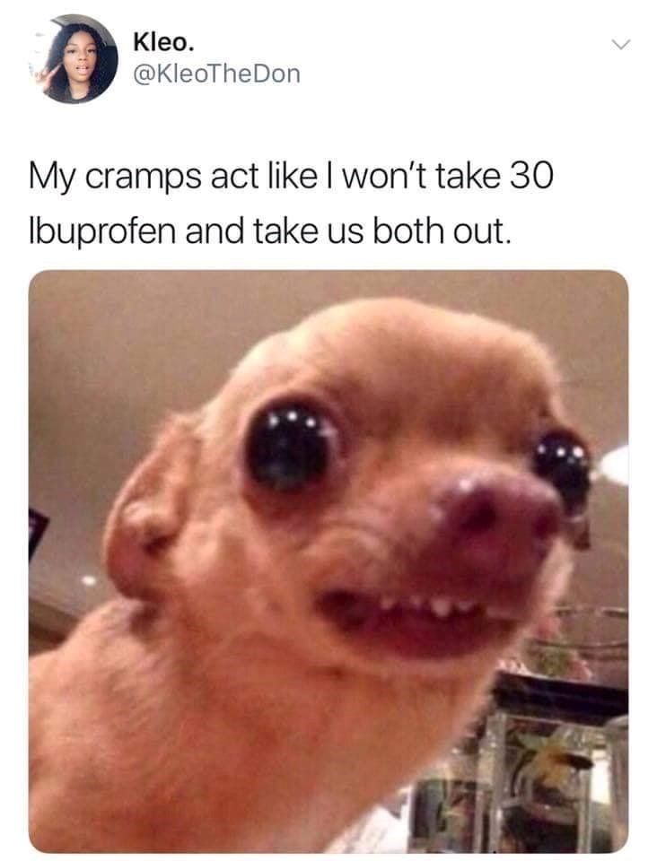 Kleo. @KleoTheDon My cramps act like I won't take 30 Ibuprofen and take us both out.