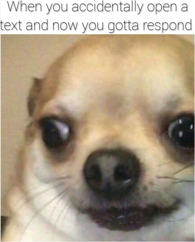 When you accidentally open a text and now you gotta respond.