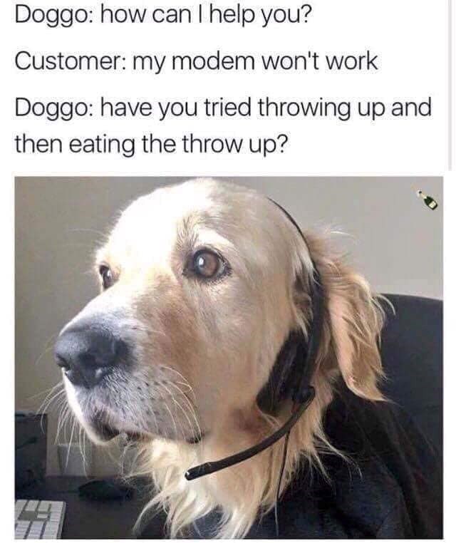 Doggo: how can I help you? Customer: my modem won't work Doggo: have you tried throwing up and then eating the throw up?