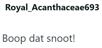 Royal_Acanthaceae693 Boop dat snoot!