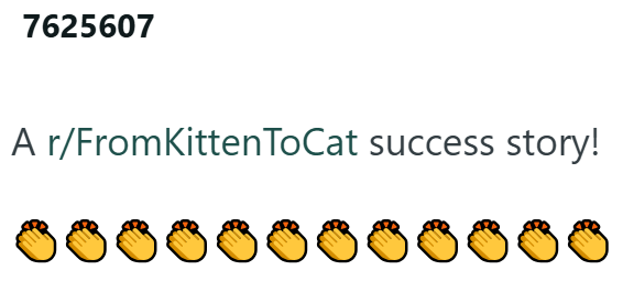 7625607 A r/FromKittenToCat success story!