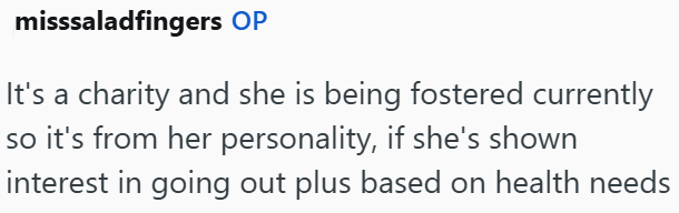 misssaladfingers OP It's a charity and she is being fostered currently so it's from her personality, if she's shown interest in going out plus based on health needs