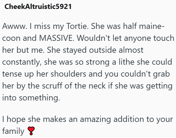 CheekAltruistic5921 Awww. I miss my Tortie. She was half maine- coon and MASSIVE. Wouldn't let anyone touch her but me. She stayed outside almost constantly, she was so strong a lithe she could tense up her shoulders and you couldn't grab her by the scruff of the neck if she was getting into something. I hope she makes an amazing addition to your family