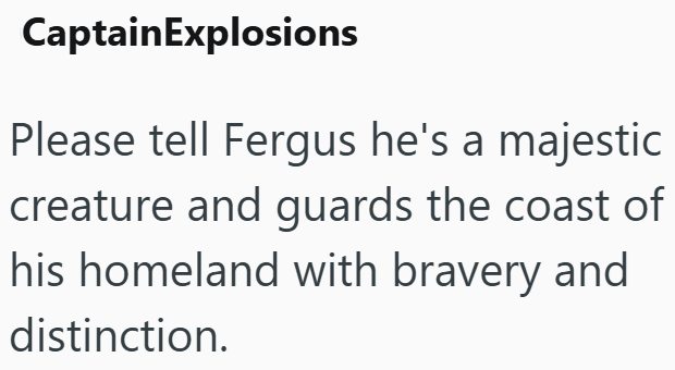 CaptainExplosions Please tell Fergus he's a majestic creature and guards the coast of his homeland with bravery and distinction.