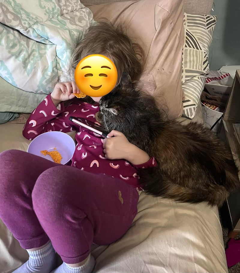 Cheezburger Image 10627106816