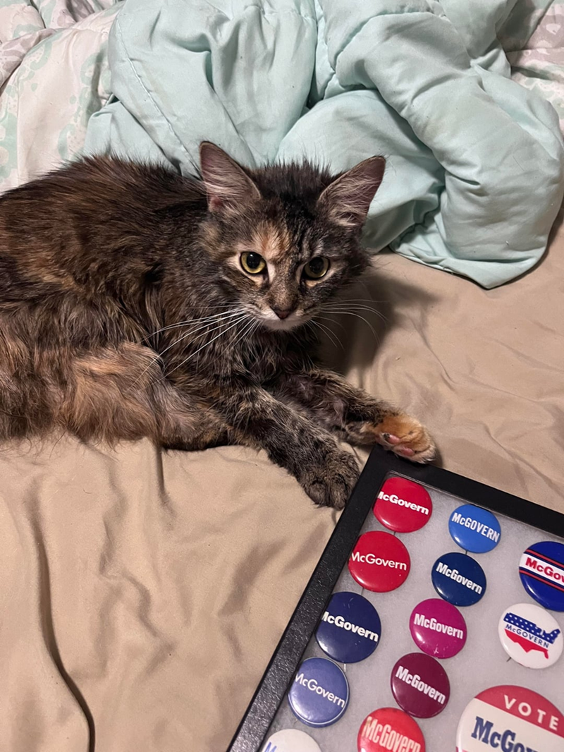 McGovern MCGOVERN McGo McGovern McGovern MCGOVERN McGovern McGovern McGovern McGovern VOTE McGover McG