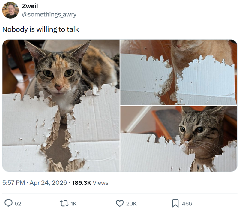 Zweil @somethings_awry Nobody is willing to talk 5:57 PM - Apr 24, 2026 189.3K Views 62 1K 20K 466