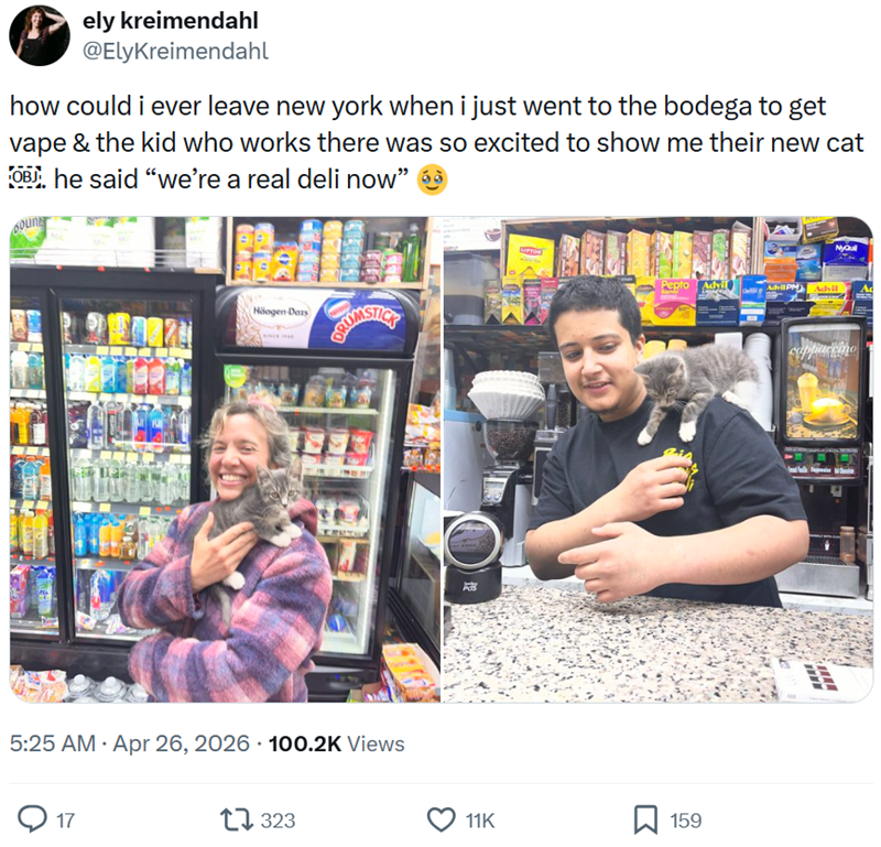ely kreimendahl @ElyKreimendahl how could i ever leave new york when i just went to the bodega to get vape & the kid who works there was so excited to show me their new cat OBJ. he said "we're a real deli now" NyQu Pepto Advill Advil PM) Advil Häagen-Dazs CUMSTICK 5:25 AM - Apr 26, 2026 100.2K Views 17 17323 11K 159 ILL