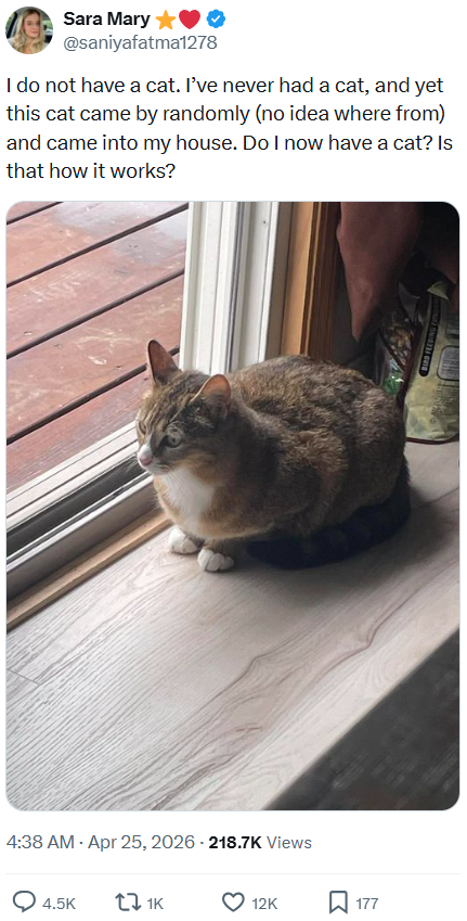 Sara Mary @saniyafatma1278 I do not have a cat. I've never had a cat, and yet this cat came by randomly (no idea where from) and came into my house. Do I now have a cat? Is that how it works? 4:38 AM - Apr 25, 2026 - 218.7K Views 4.5K 11K 12K 177 BIRD FEEDING