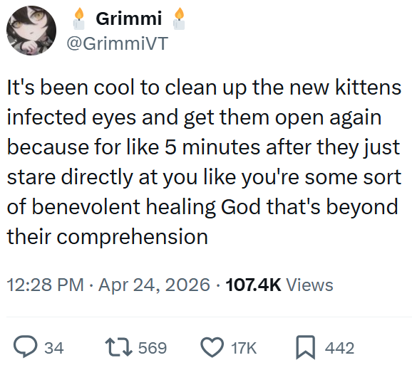 Grimmi @GrimmiVT It's been cool to clean up the new kittens infected eyes and get them open again because for like 5 minutes after they just stare directly at you like you're some sort of benevolent healing God that's beyond their comprehension 12:28 PM ⚫ Apr 24, 2026 107.4K Views 34 17569 17K 442