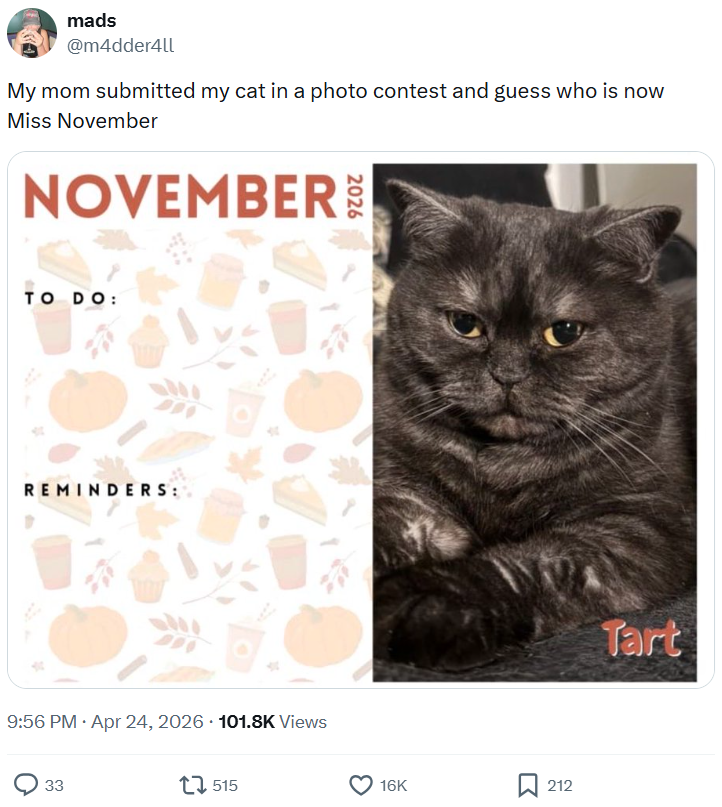 mads @m4dder4ll My mom submitted my cat in a photo contest and guess who is now Miss November NOVEMBER TO DO: REMINDERS: . 9:56 PM ⚫ Apr 24, 2026 101.8K Views 33 515 16K , 212 Tart