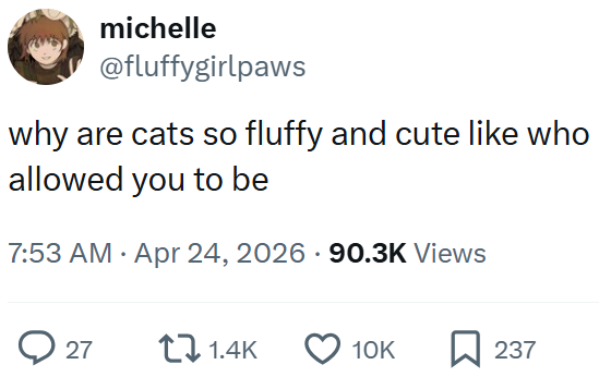 michelle @fluffygirlpaws why are cats so fluffy and cute like who allowed you to be 7:53 AM Apr 24, 2026 90.3K Views 27 1.4K 10K 237