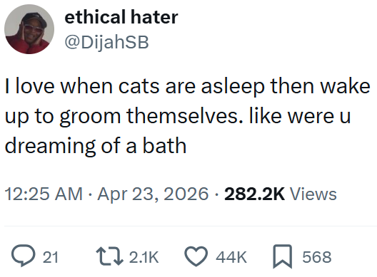 ethical hater @DijahSB I love when cats are asleep then wake up to groom themselves. like were u dreaming of a bath • 12:25 AM ⚫ Apr 23, 2026 282.2K Views 21 2.1K 44K 568