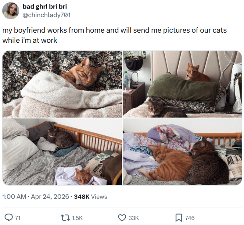 bad ghrl bri bri @chinchlady701 my boyfriend works from home and will send me pictures of our cats while i'm at work 1:00 AM - Apr 24, 2026 - 348K Views 71 1.5K 33K ☐ 746