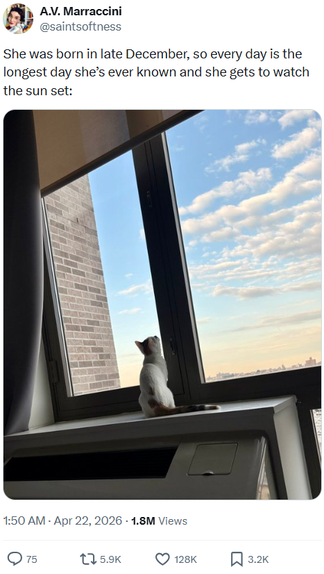 A.V. Marraccini @saintsoftness She was born in late December, so every day is the longest day she's ever known and she gets to watch the sun set: 1:50 AM - Apr 22, 2026 -1.8M Views 75 5.9K 128K 3.2K