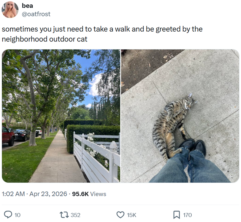 bea @oatfrost sometimes you just need to take a walk and be greeted by the neighborhood outdoor cat • 1:02 AM - Apr 23, 2026 95.6K Views 10 17352 15K 170