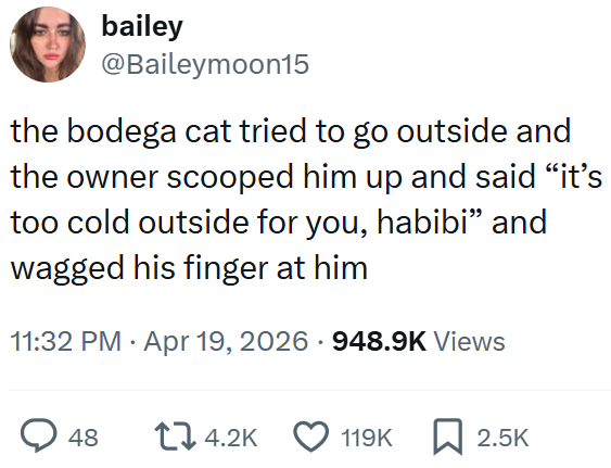 bailey @Baileymoon15 the bodega cat tried to go outside and the owner scooped him up and said "it's too cold outside for you, habibi❞ and wagged his finger at him 11:32 PM Apr 19, 2026 948.9K Views 48 14.2K 119K ☐ 2.5K