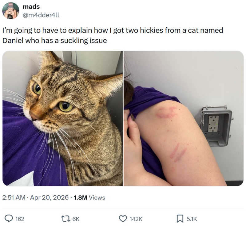 mads @m4dder4ll I'm going to have to explain how I got two hickies from a cat named Daniel who has a suckling issue . 2:51 AM Apr 20, 2026 1.8M Views 162 176K 142K ☐ 5.1K