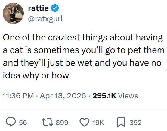 rattie @ratxgurl One of the craziest things about having a cat is sometimes you'll go to pet them and they'll just be wet and you have no idea why or how • 11:36 PM Apr 18, 2026 295.1K Views 56 1899 19K ☐ 352